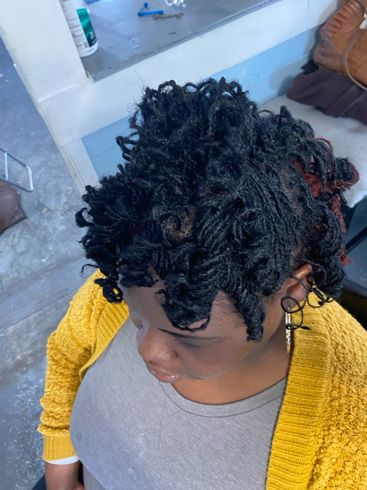 Microlocs Shampoo & Style