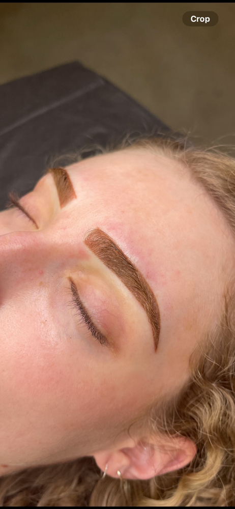 6-8 Week Powder Brow Touch Up