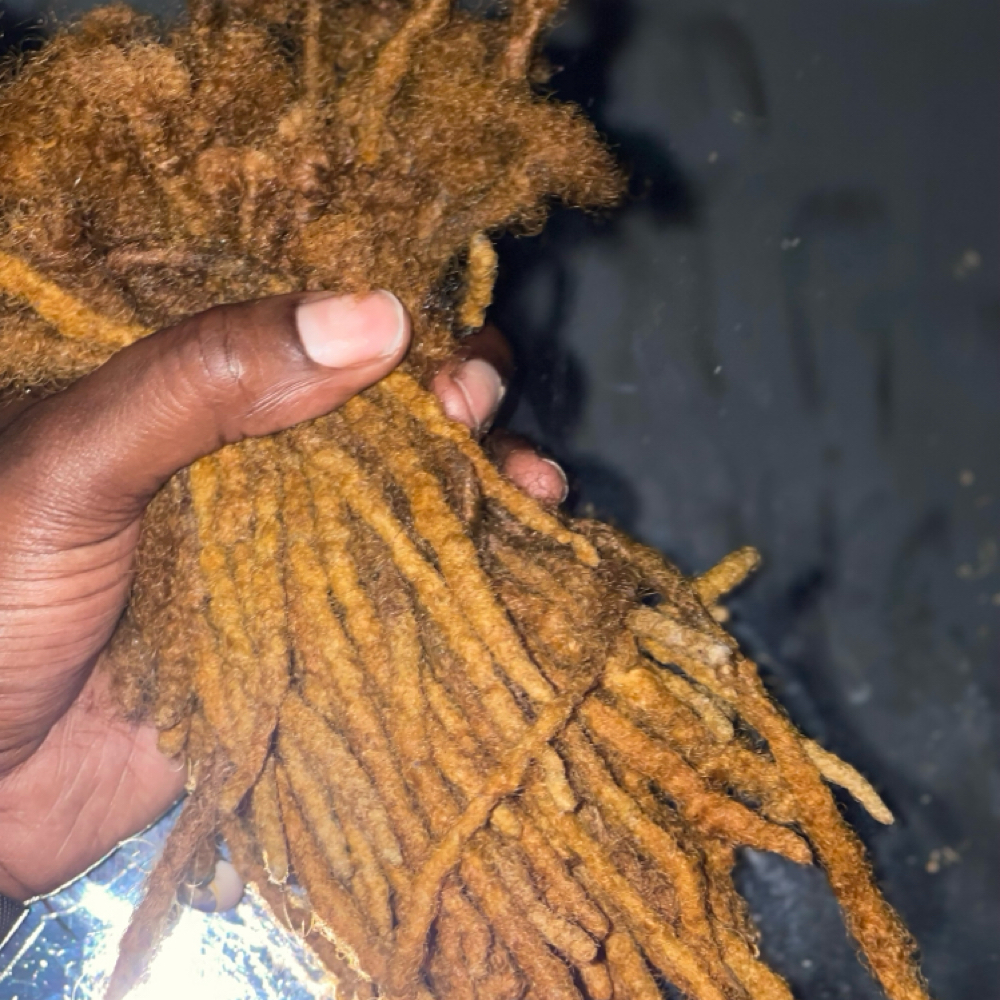LOC INSTALL at QC Locs & Lashes in Fort Worth, TX