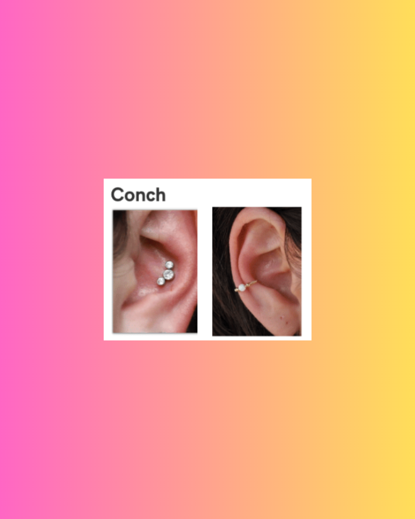 Conch