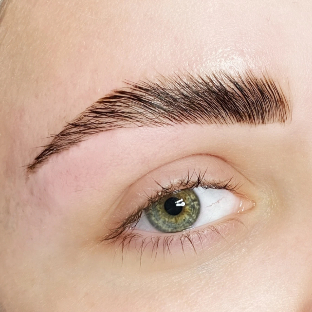 Eyebrow Lamination at Cosmobymoe in South Weber, UT
