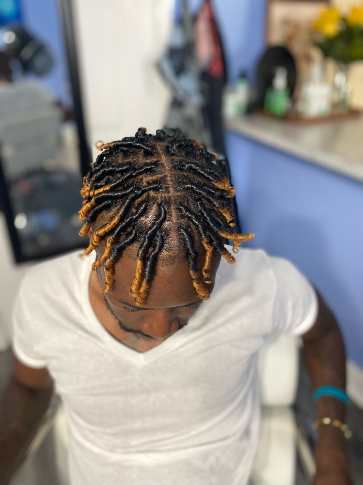 Starter Locs (Top Only) at 473 Locs Natural hair Studio in Evansville, IN