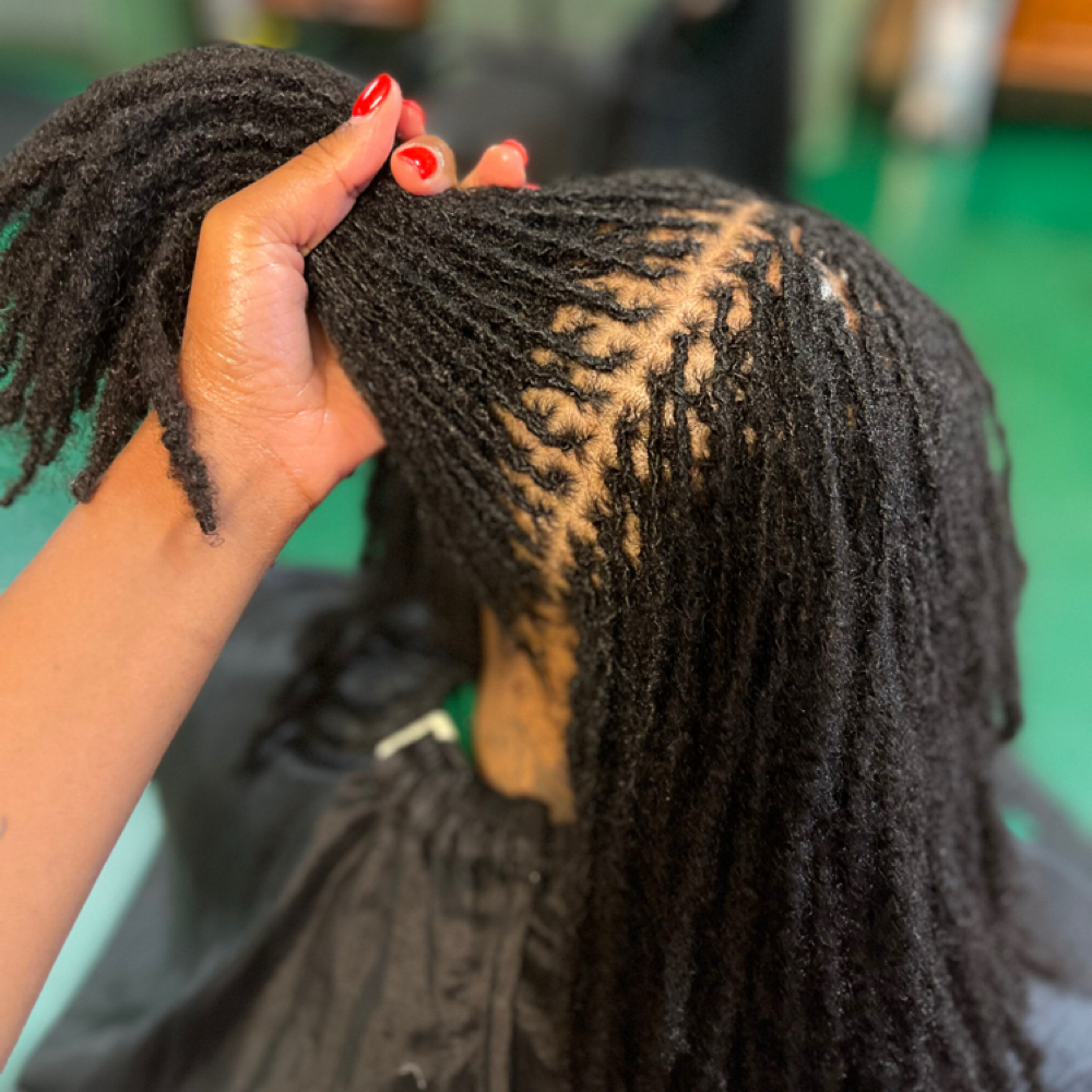 Micro Loc Retie 9-12 Weeks at Butterfly Styles | Natural Locs in Long Beach, CA