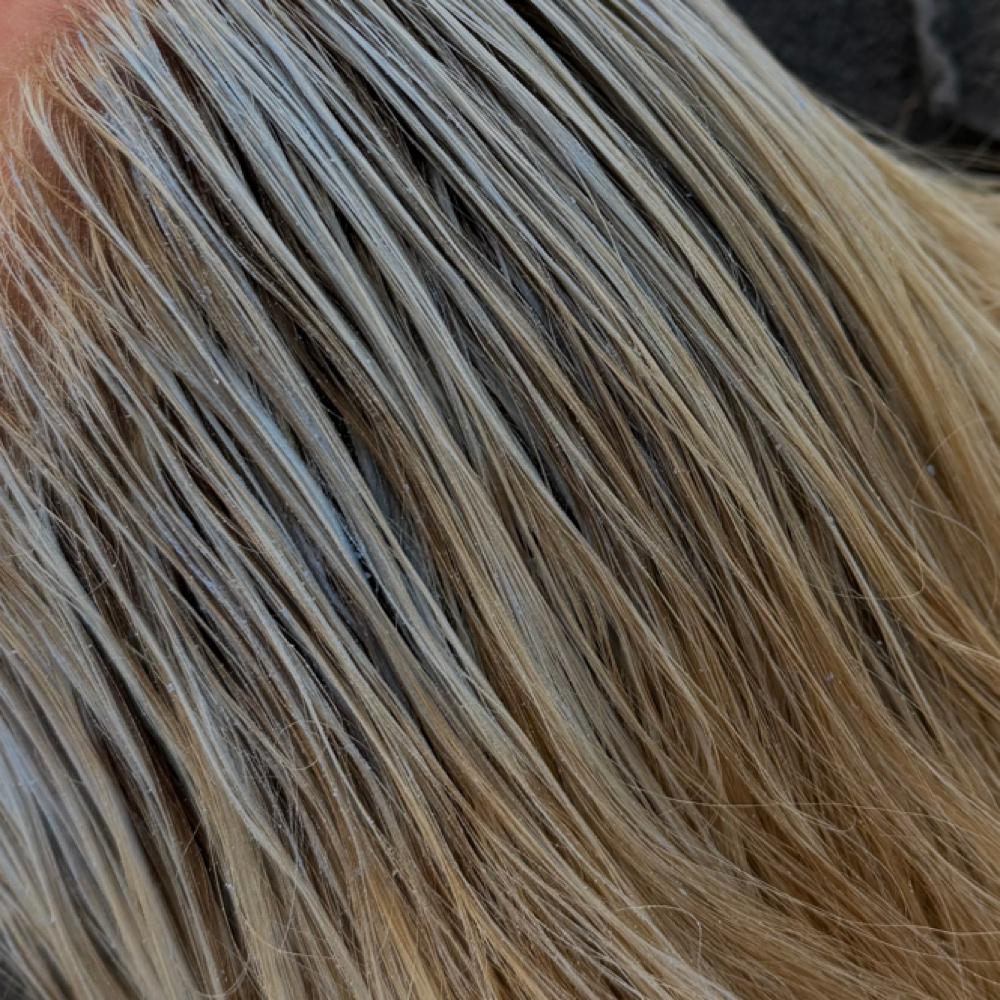 PARTIAL BLONDING SESSION at hmubyriley in Tuscaloosa, AL