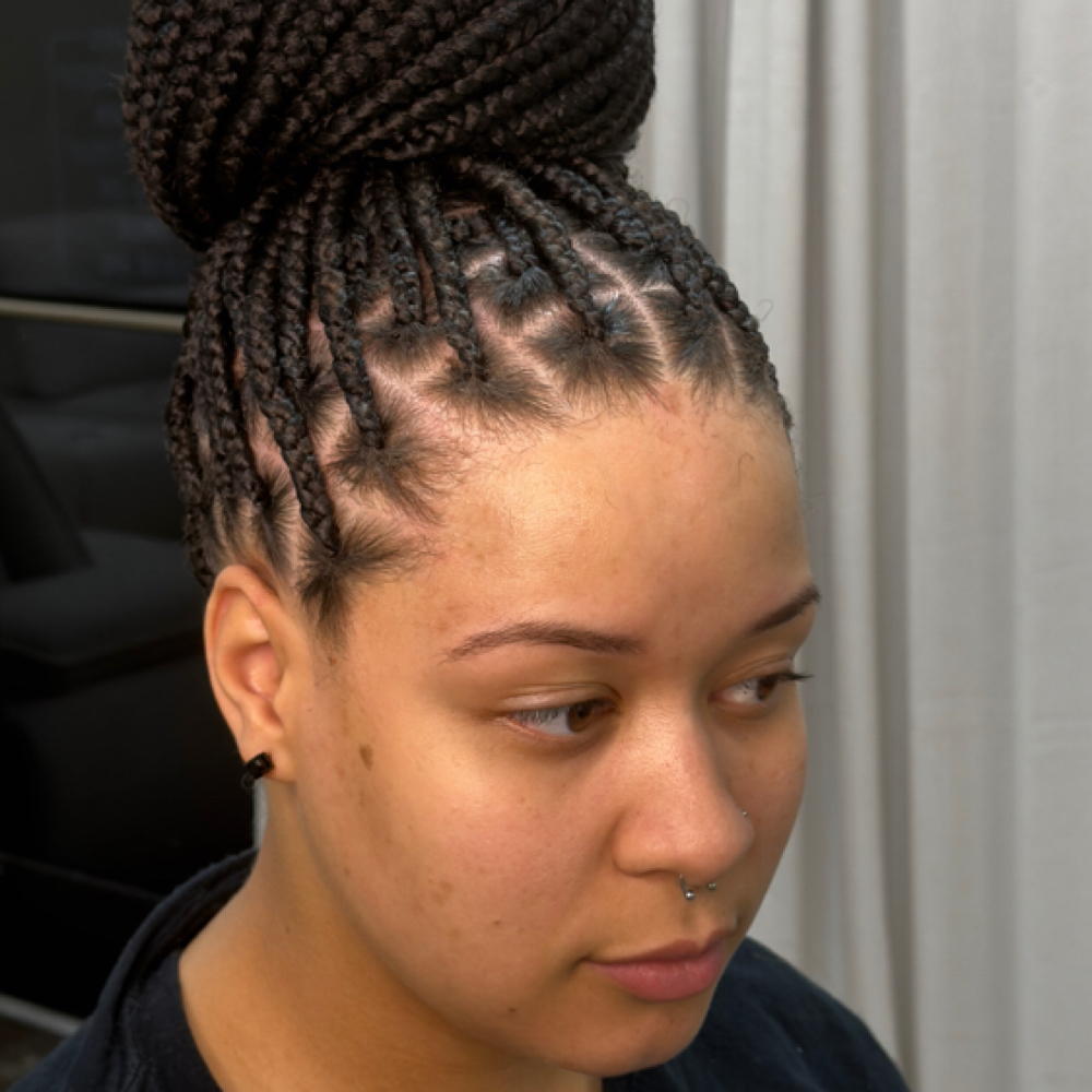 Large Knotless at Sene Beauty Bar in Horn Lake, MS