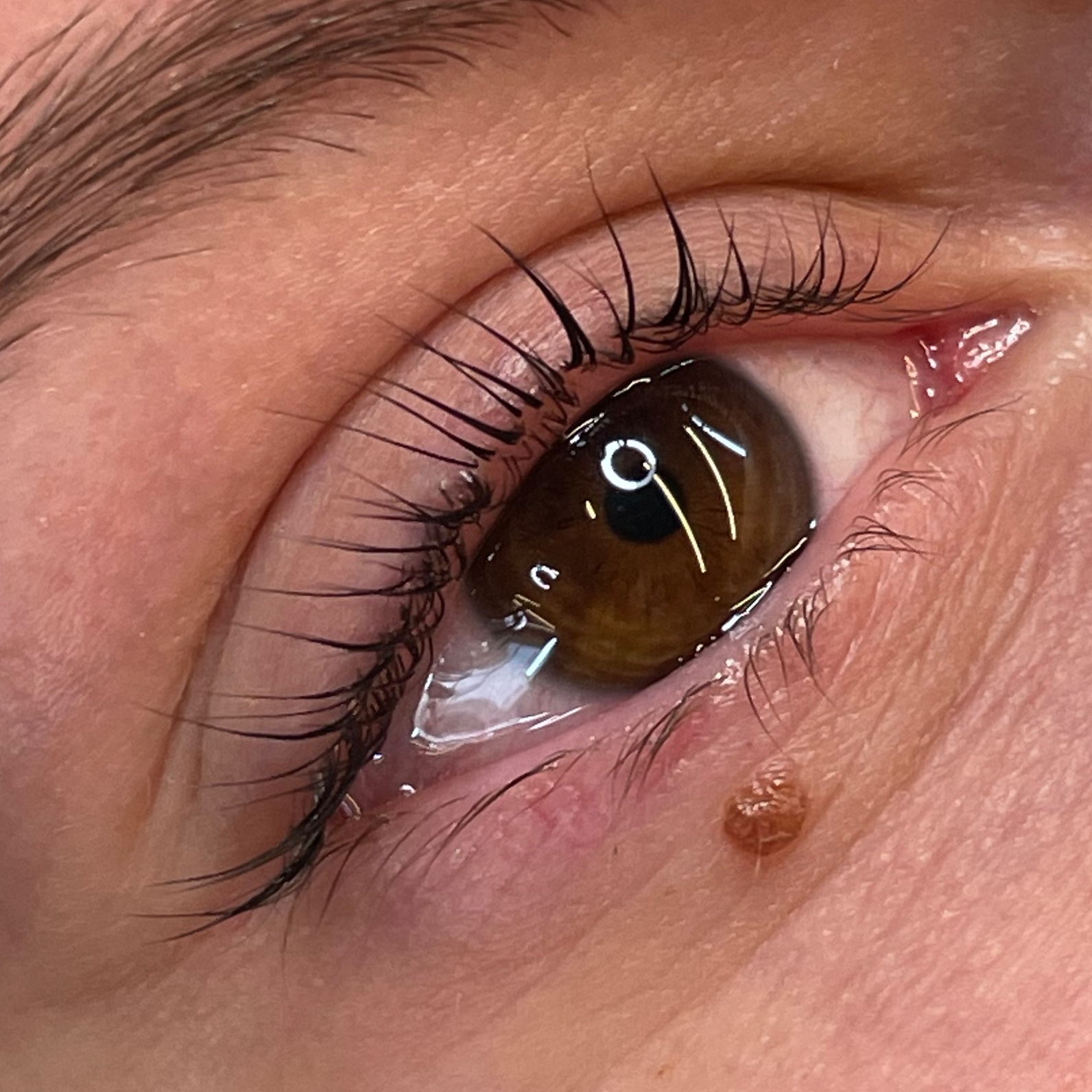 Korean Lash Lift at Eterno Artistry in Houston, TX
