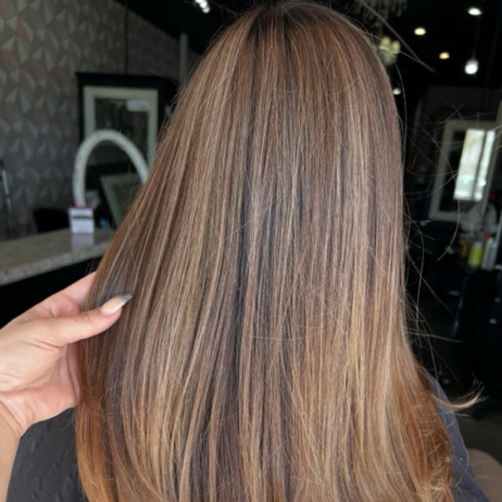 Partial Balayage at Cescily Rodrigues in Fairfield, CA