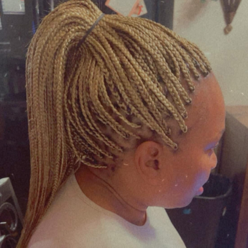 Small Box Braids at The Beauty Lab in Tyler, TX
