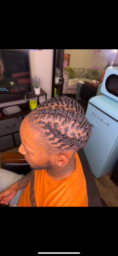 🌱 XTRA Small Starter Locs + Style