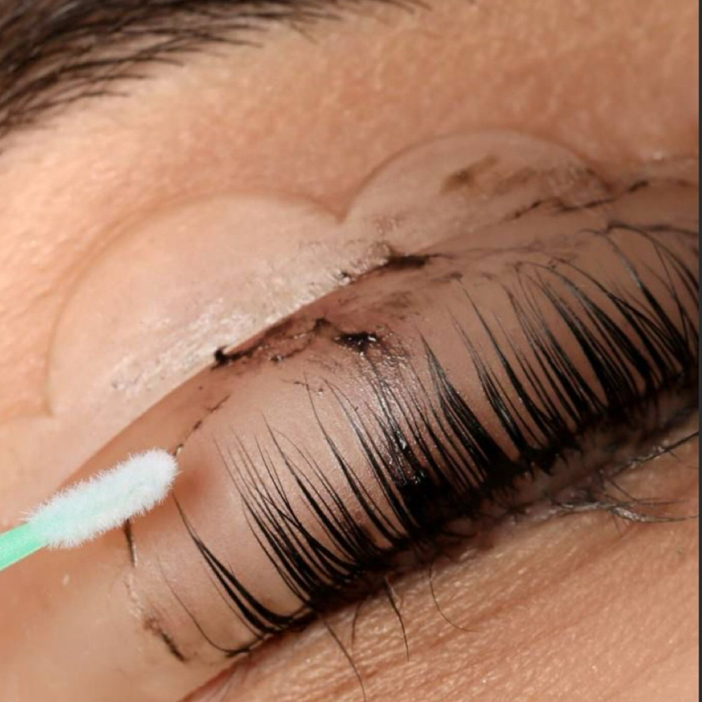 Lash Tint at Salon Novora in Knoxville, TN
