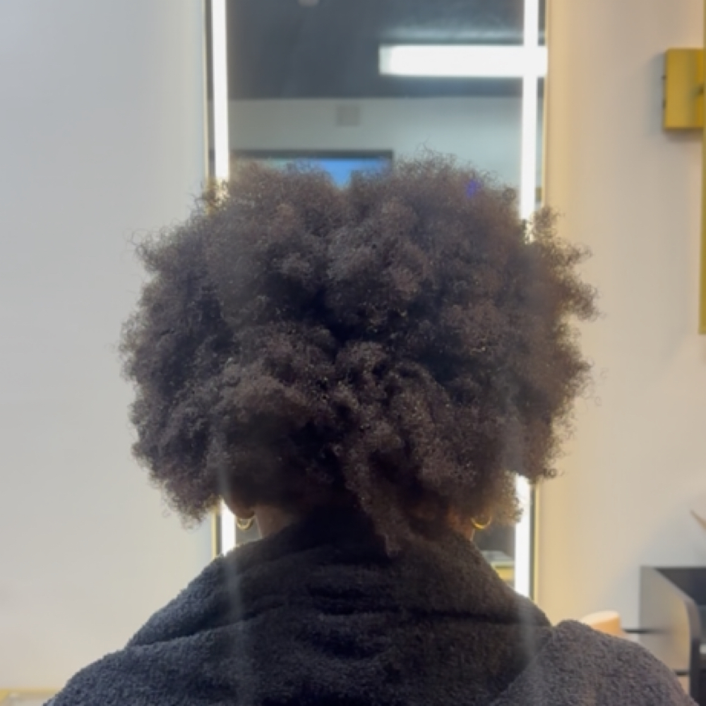 Detangle Service at Hair On Ten Salon in pittston, PA