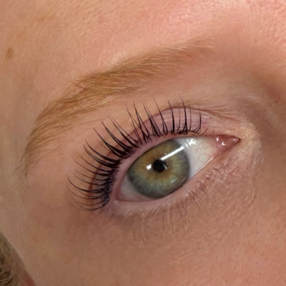 Korean Lash Lift & Tint at Aesthetics by Hailey in Morris, IL