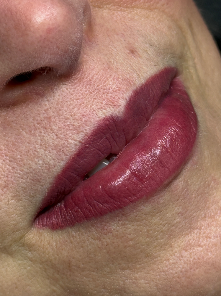 Cyber Monday PMU Lip Blush