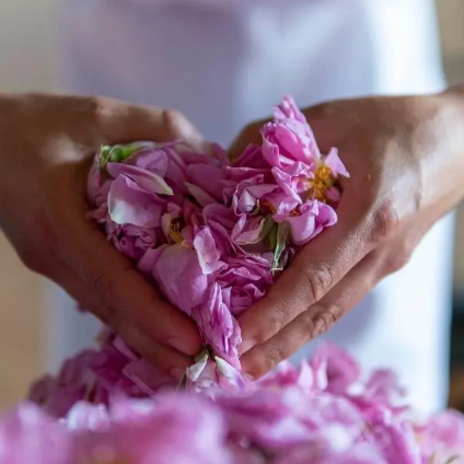 Moroccan Rose Illuminating Facial at Sophiesticated Esthetics in Miami, FL