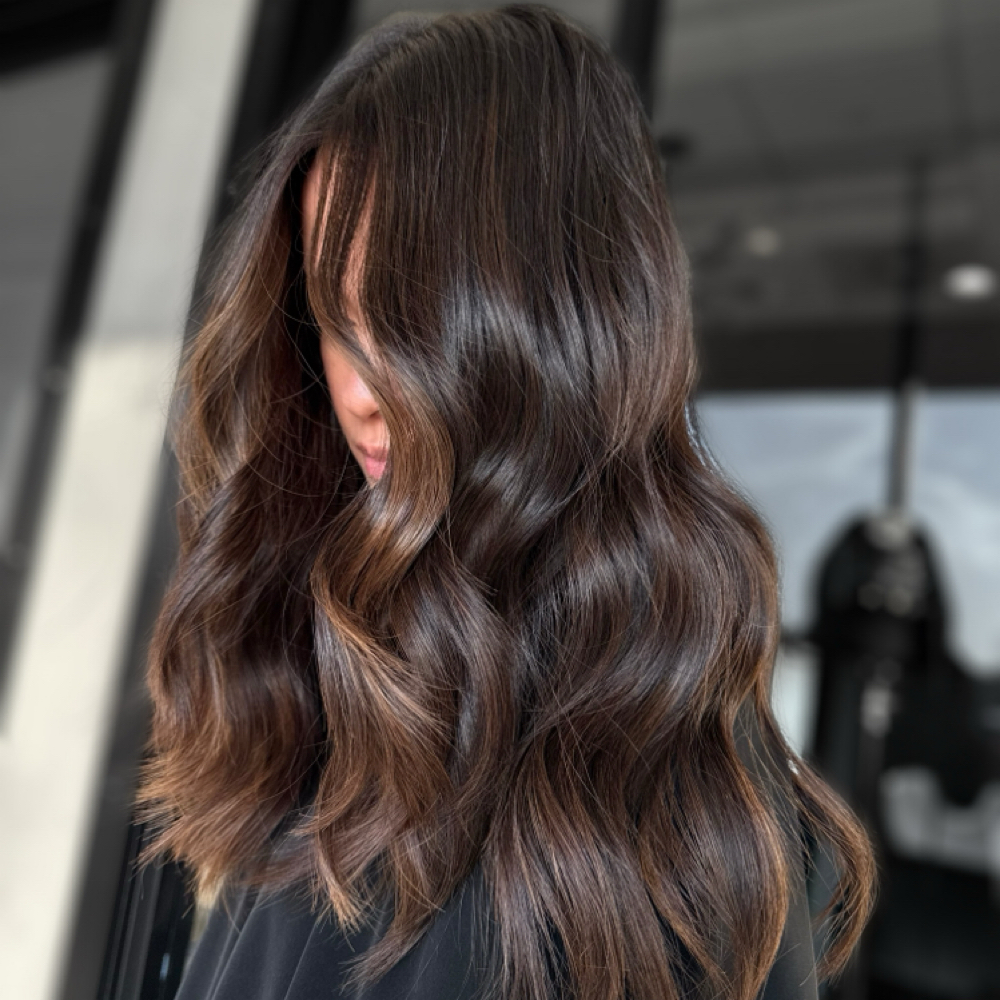 Brunette Balayge at Mane Rose Salon in Webster, TX