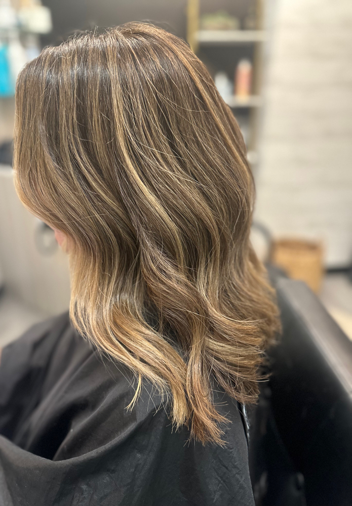 Root touch-up/Hi-Lites Duo