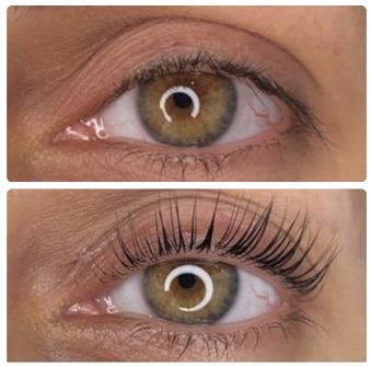 Lash Lift & Tint