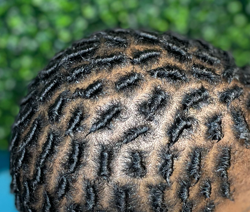 Starter Locs ( Price Varries )