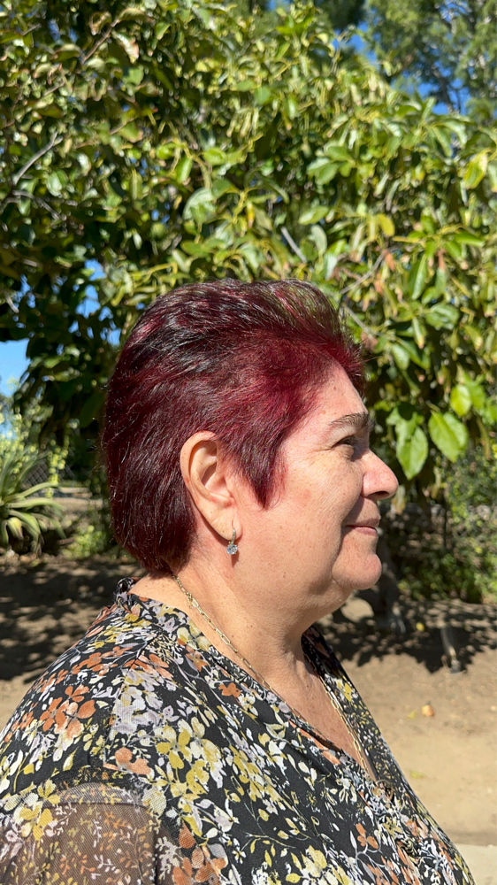 Root Refresh