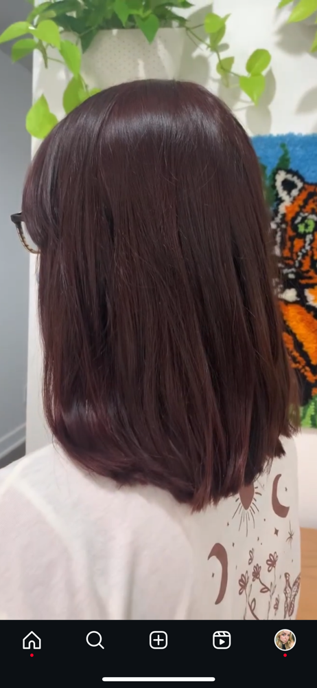 Root Touch Up & Haircut