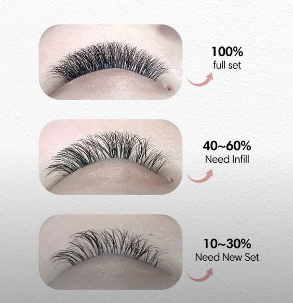 Hybrid 3 Week Fill