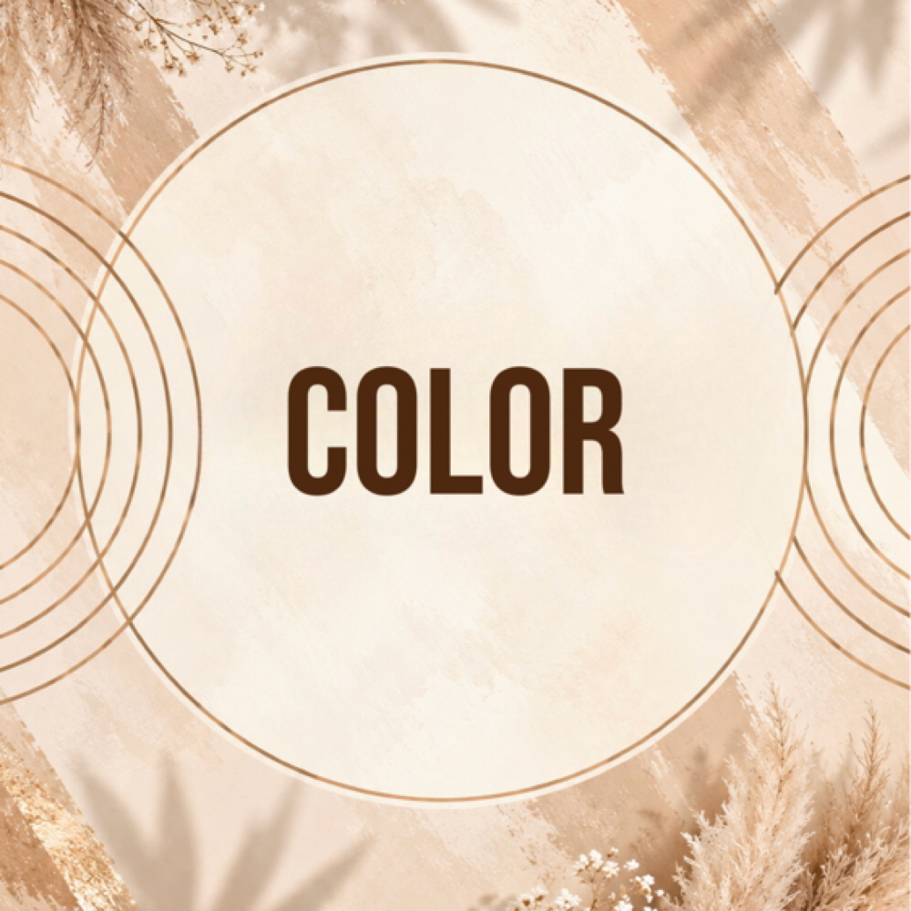 All Over Color at Sj Hair Studio in Dry Ridge, KY