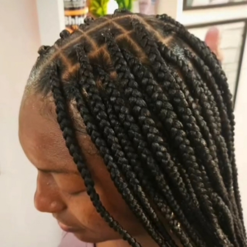 Smedium Knotless at Braidz Etc in Phoenix, AZ