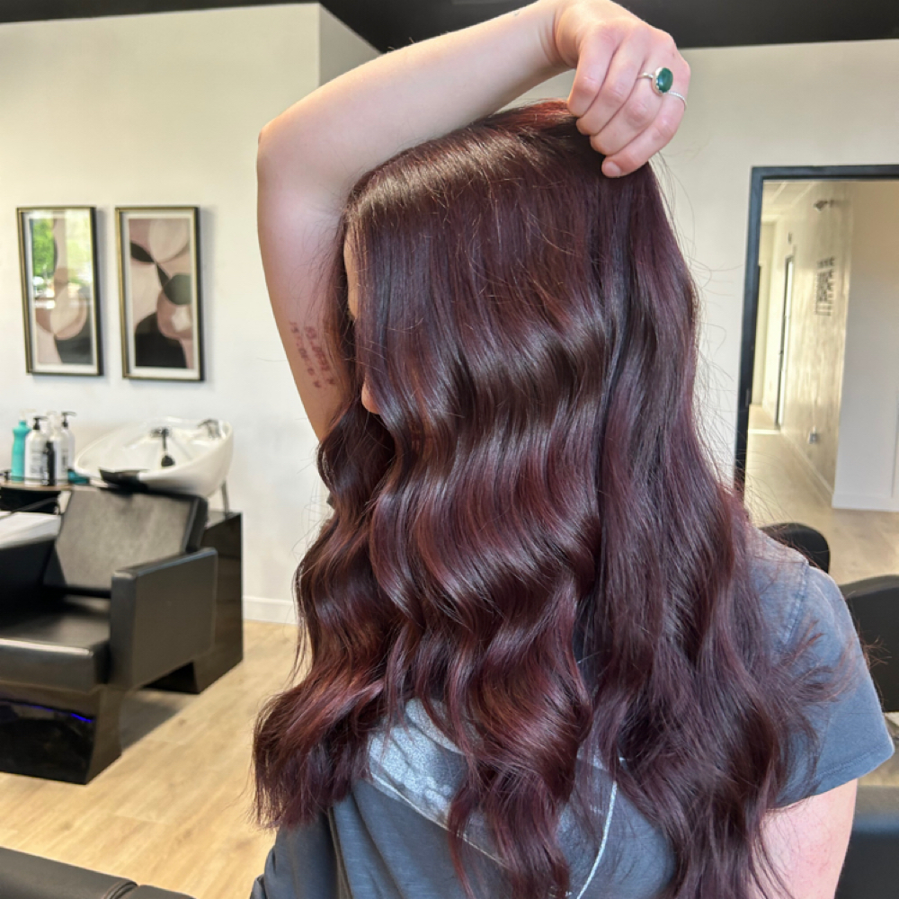 All Over Color at Salon Liora in American Fork, UT