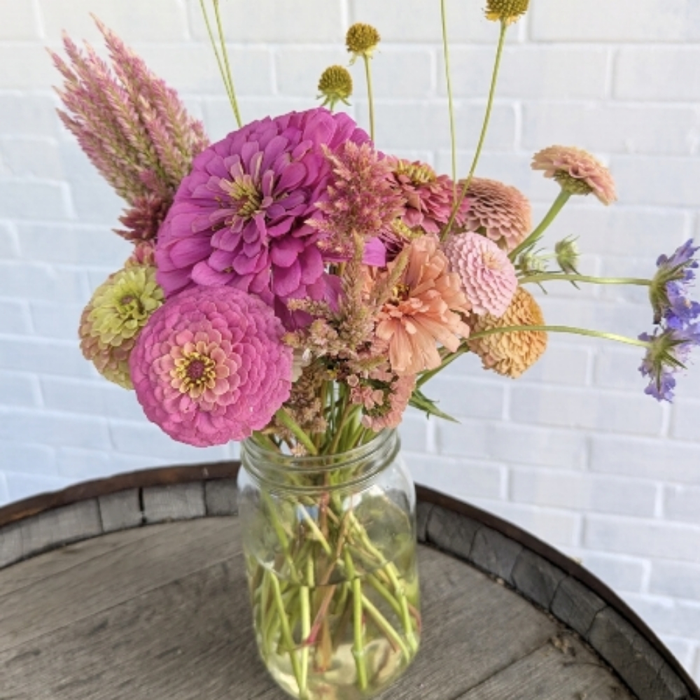 Bouquet CSA Bi-Weekly 2 Delivered at Juniper Brooks Farm
