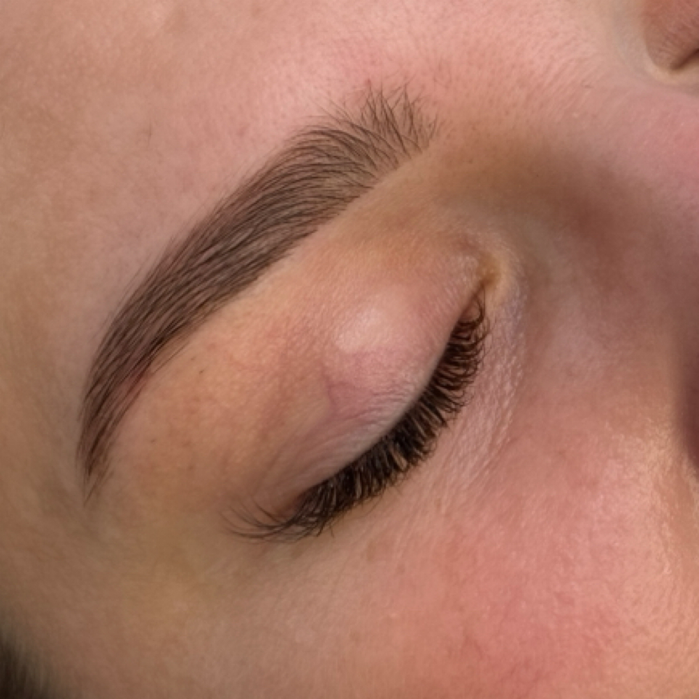 Brow Wax + Tint at Norwegian Skin & Lash in Lakewood, CO