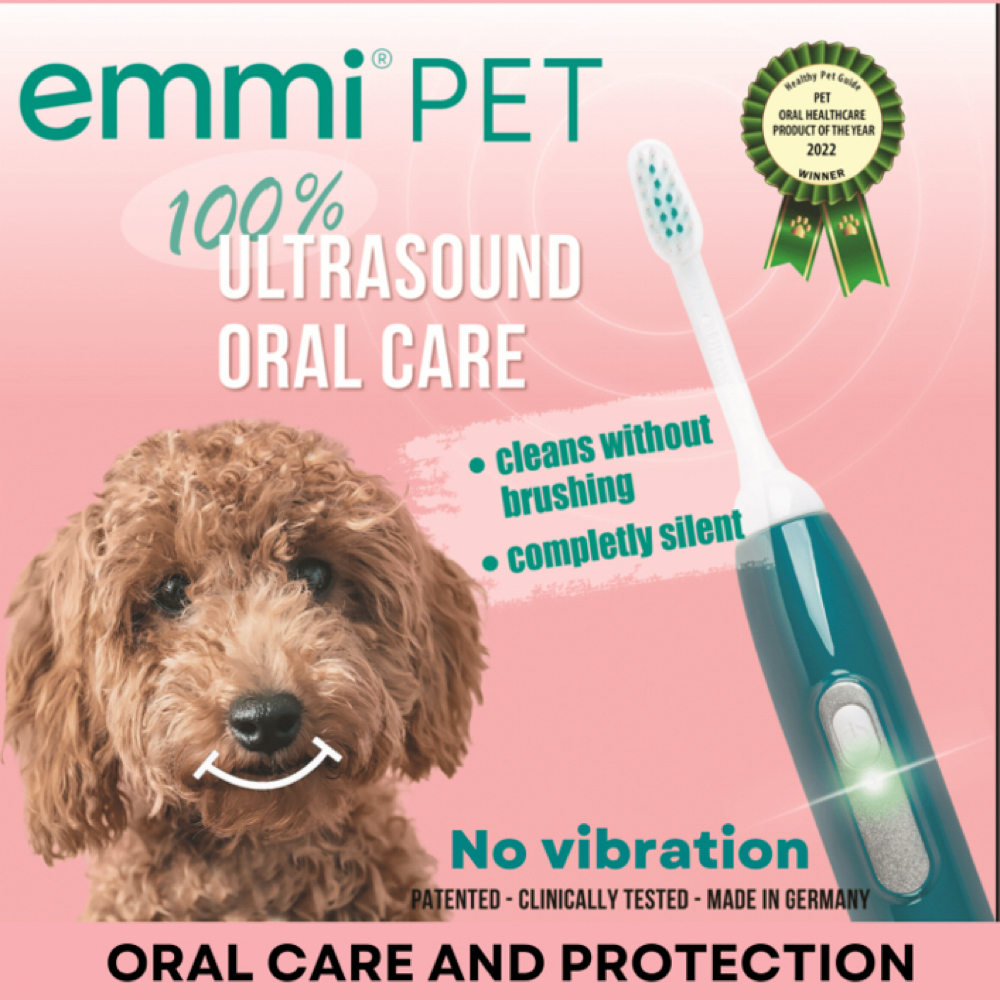 Plaque Removal Treatment at Holypawzgrooming in Highland, CA