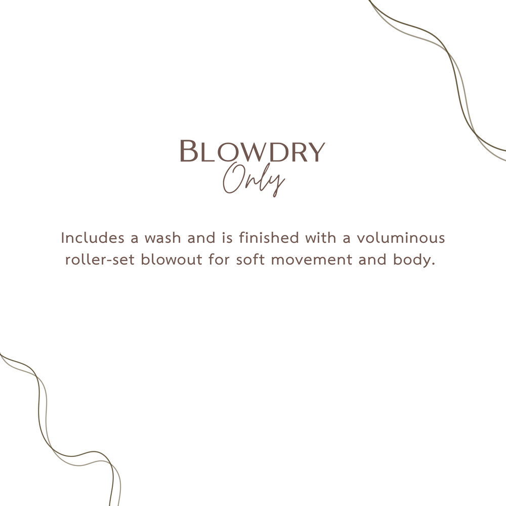 Blowdry at Bloom by Rossy in South Elgin, IL