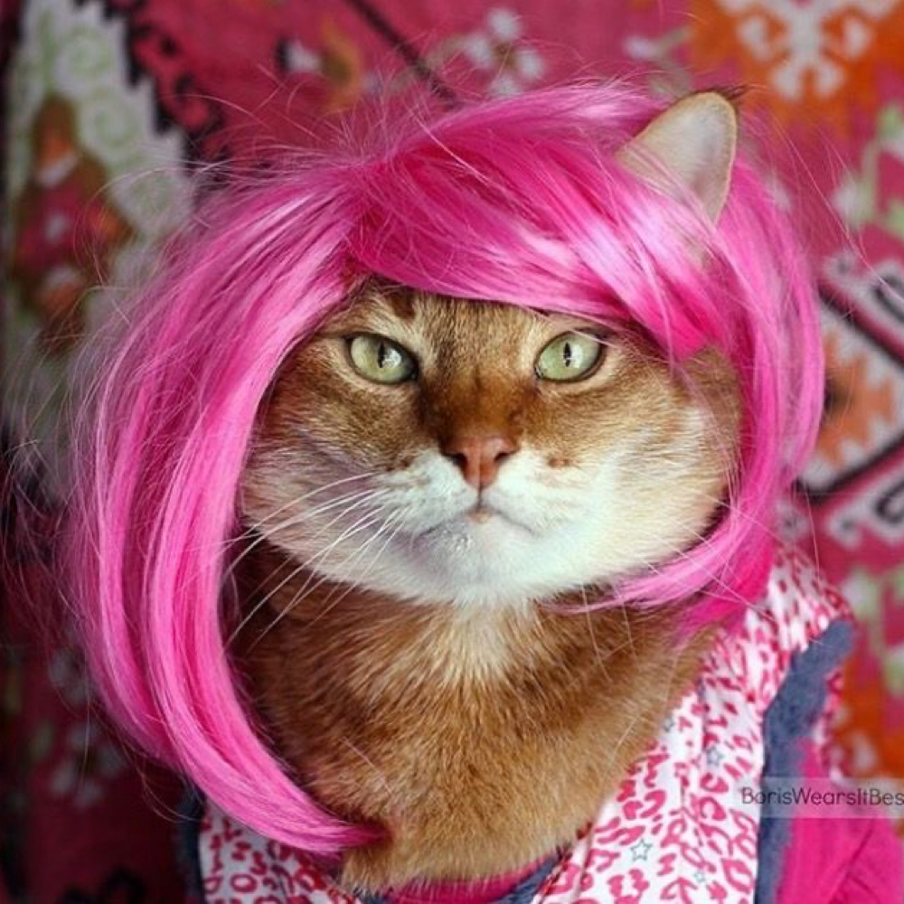 VIVID TRANSFORMATION at theonlygracetoeverexist in Dallas, TX