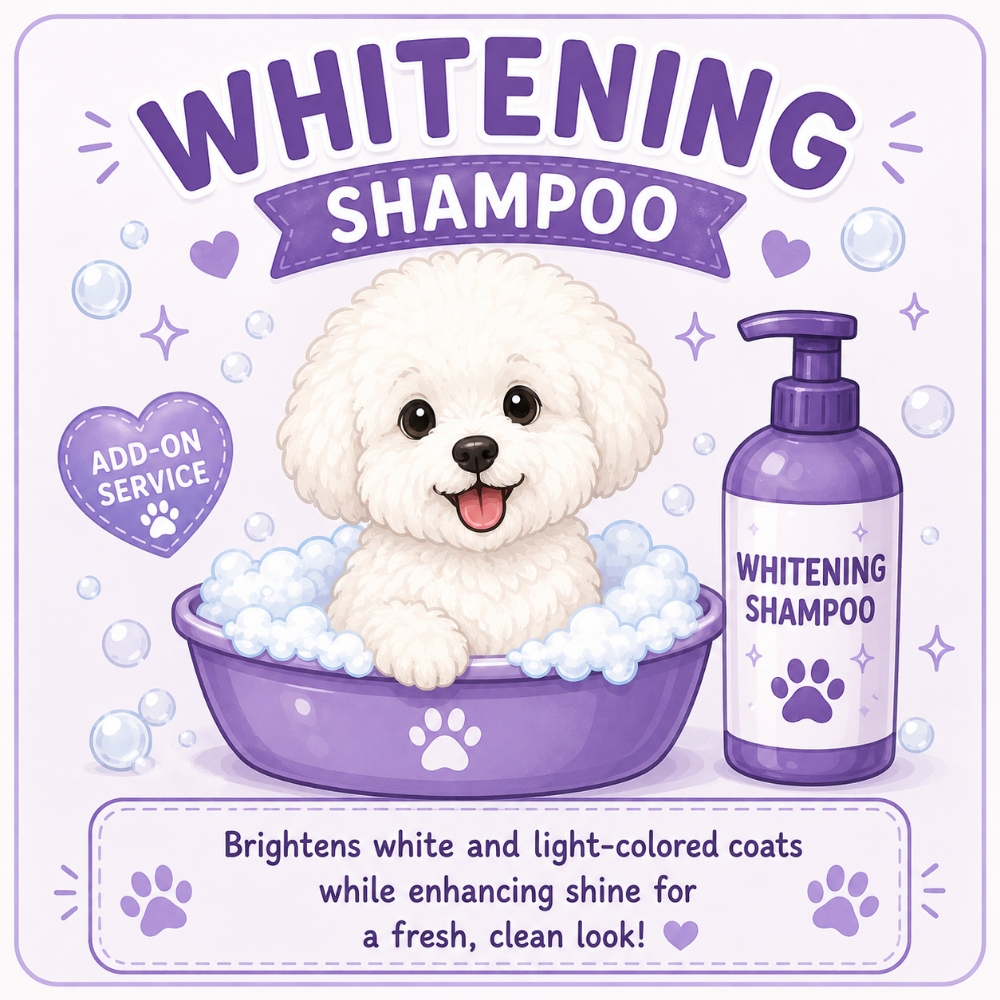 Whitening Shampoo (add-on) at Obie's Dog Grooming in Monahans, TX