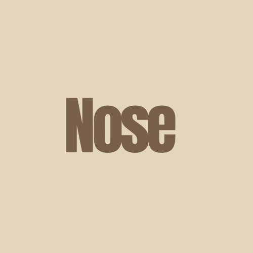 Nose