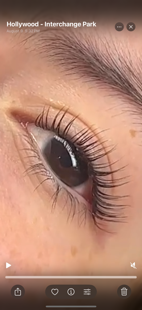 Eyelash Curl / Perm, Eyelash Tint