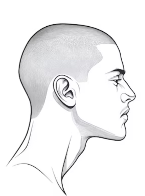 Buzz Cut
