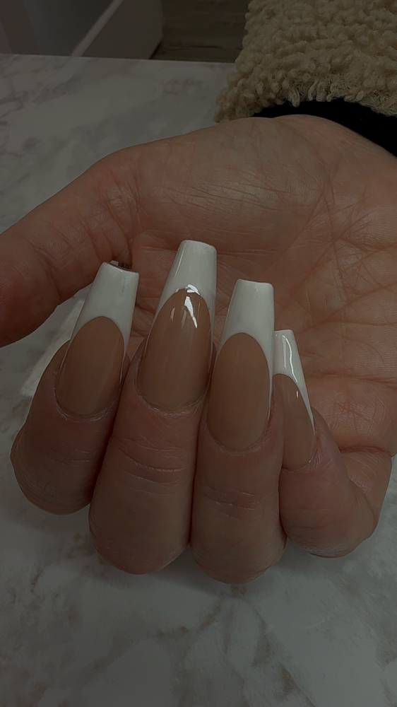 Frenchie Saturday Special