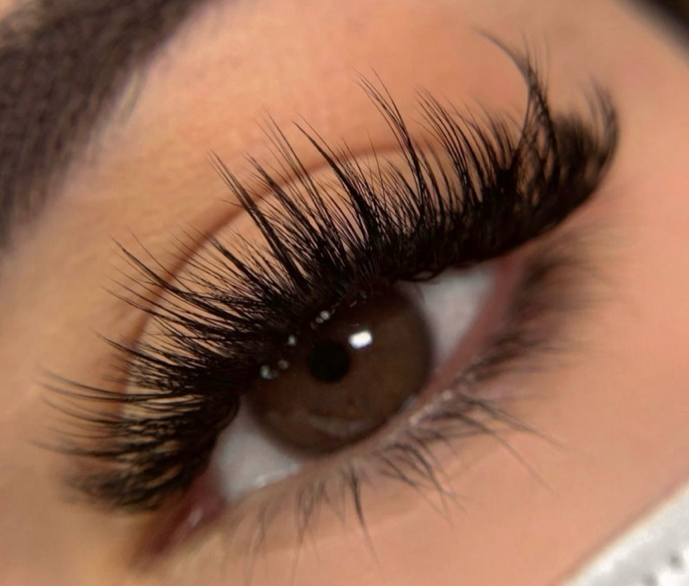 Bold & Wispy Lashes