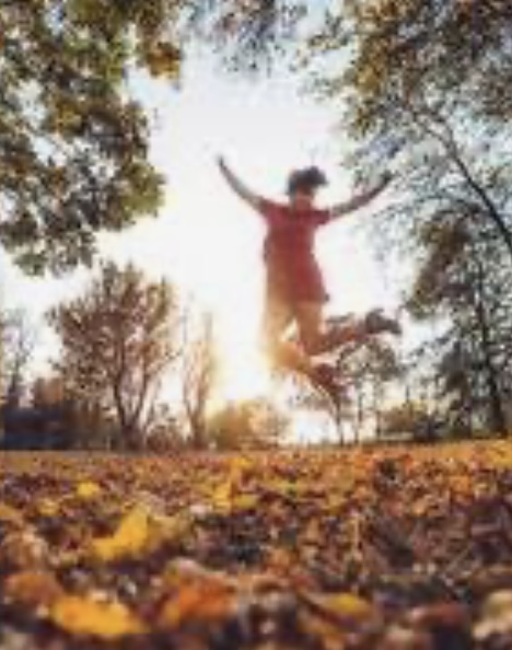 Falling For You Pass 12 Visits