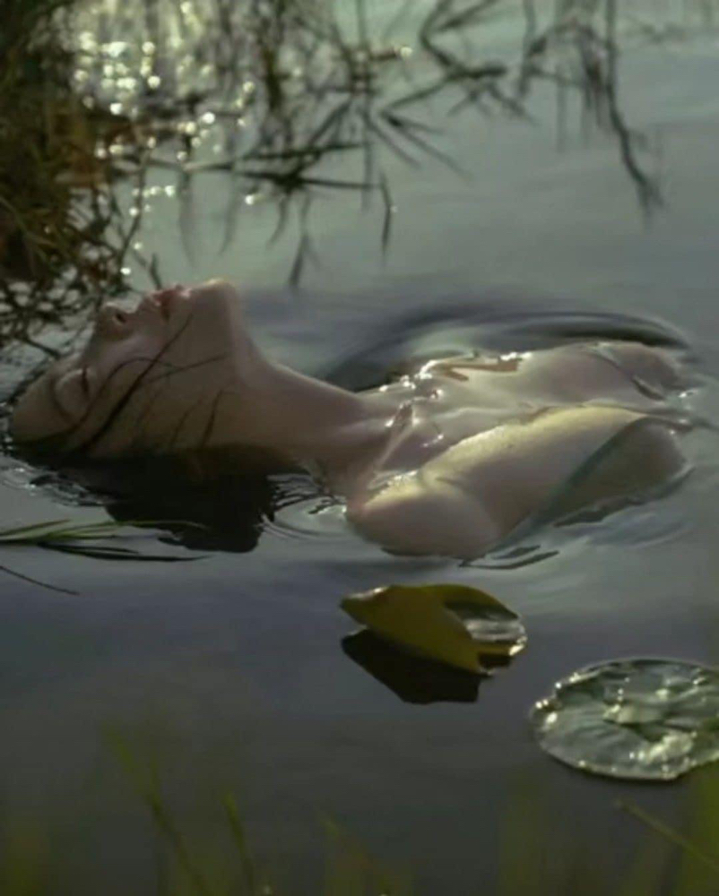 Siren Song