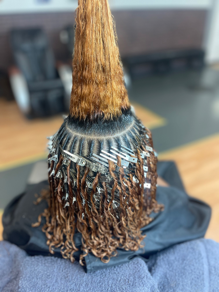 Starter Locs