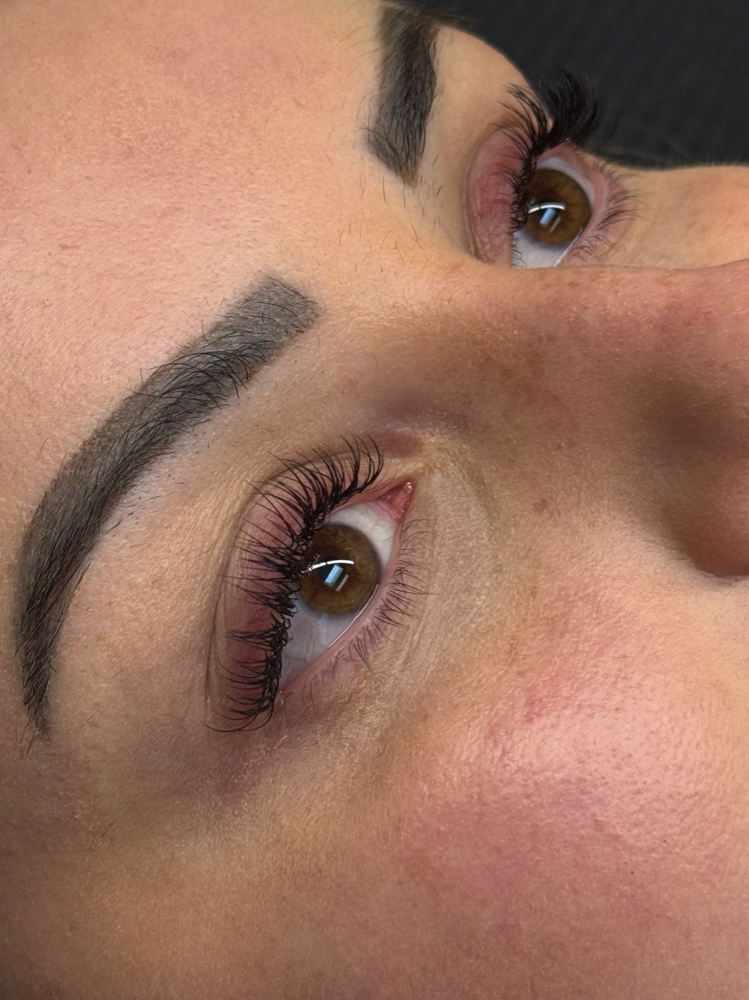 Classic - Standard Fill