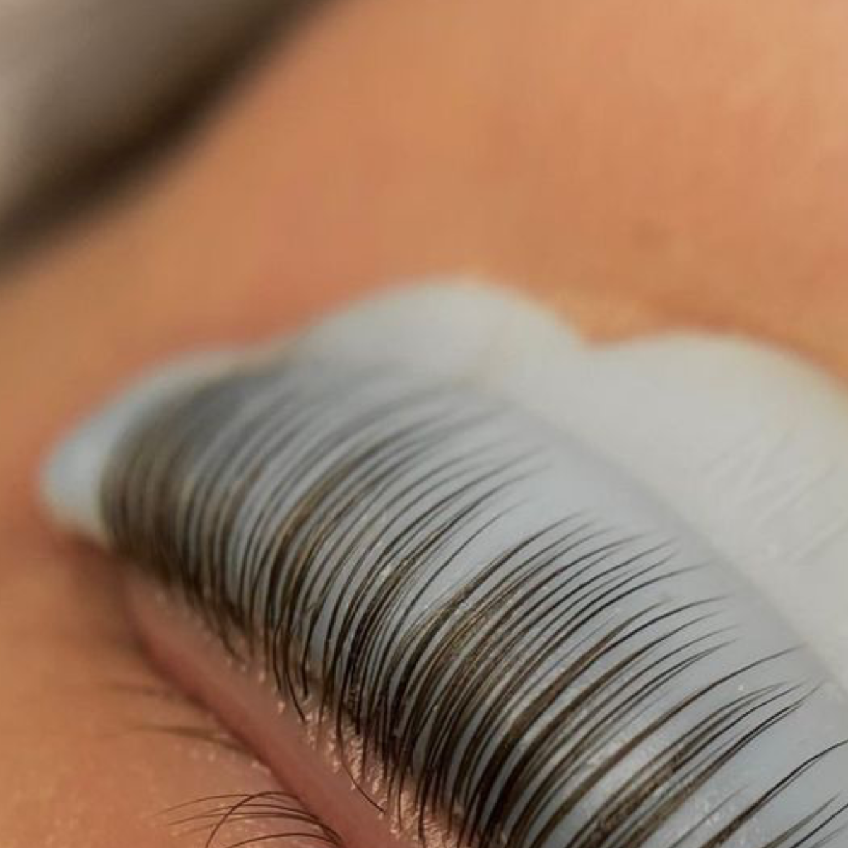 Lash lift + tint at The Reserve in Coralville, IA