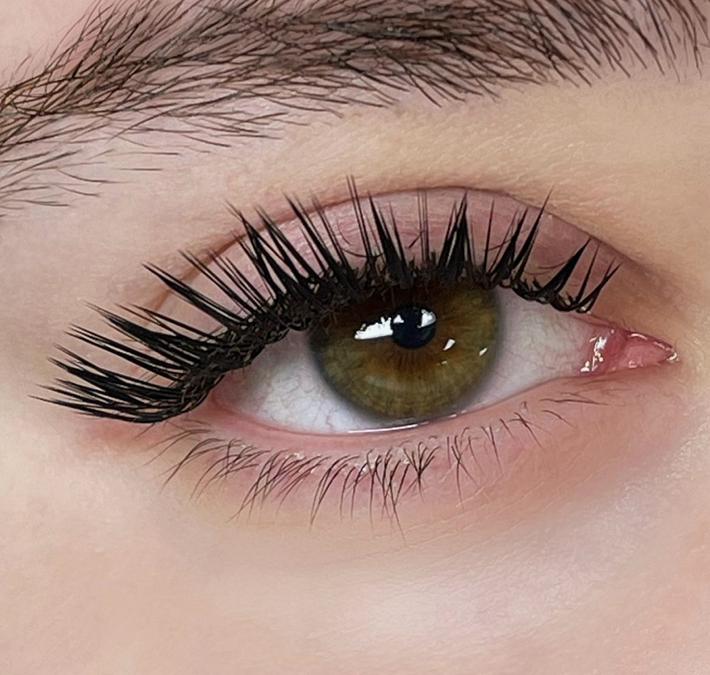 L Curl New Set