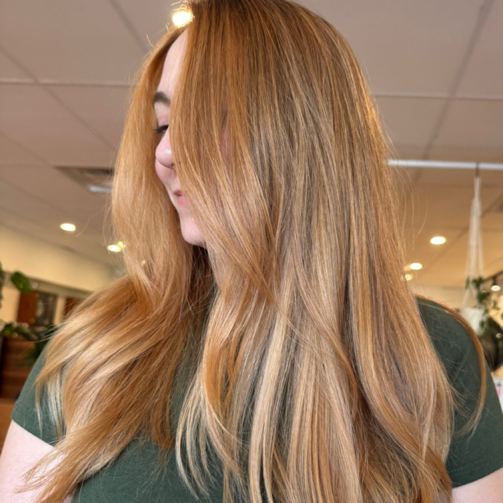 Toner Refresh + Blow Dry