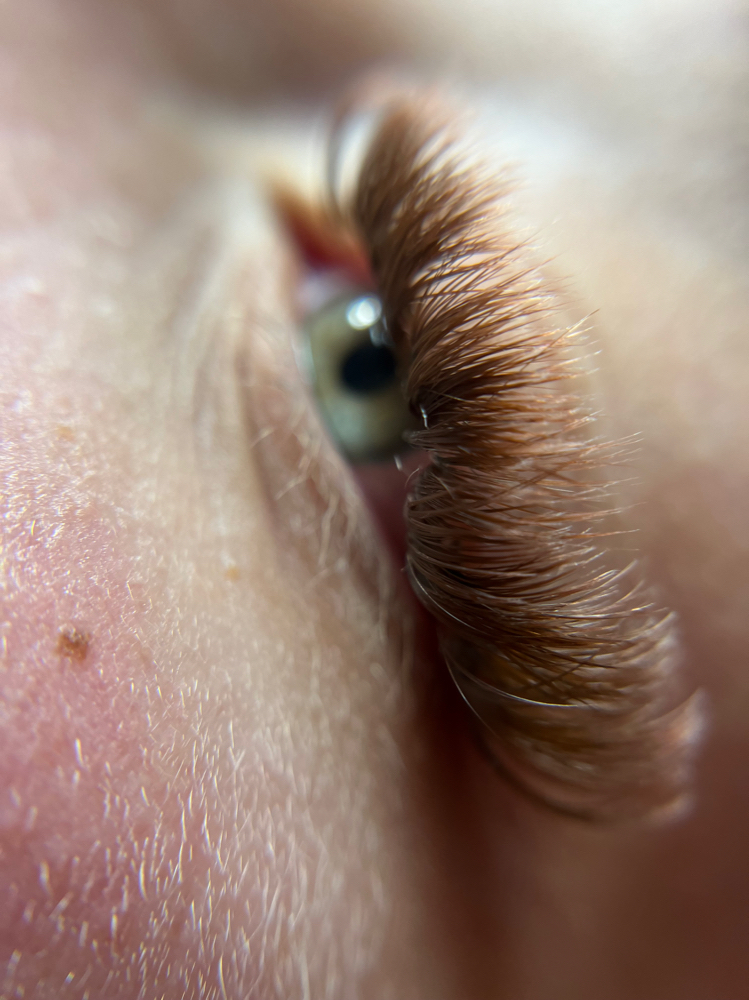 Brow Lash Retouch