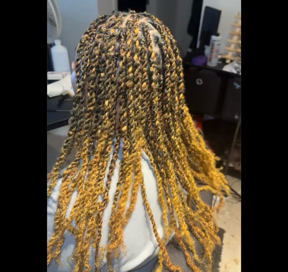 Cuban, Havana, Marley Twist