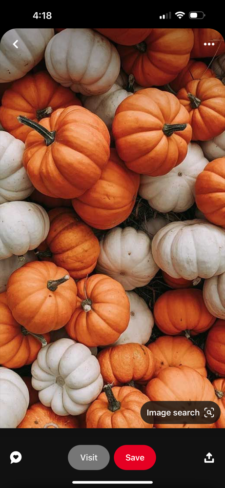 Fall Pumpkin Facial