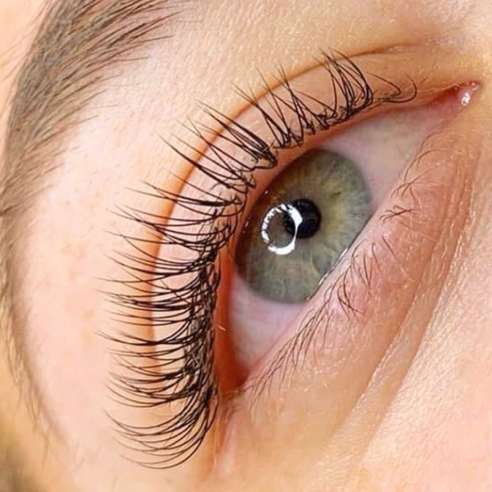 Classic Full Set with Lyn — $59 at TN Lash Lab in Cypress, TX
